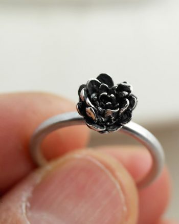 anillo plata succulenta